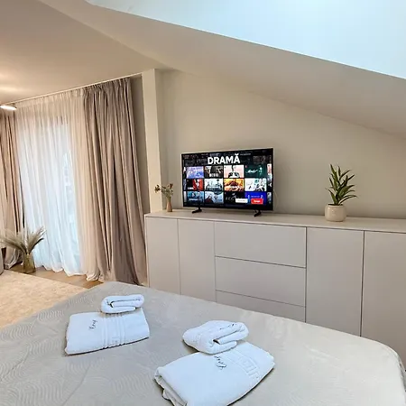 Cozy Luxury In Center Of Historical Apartment