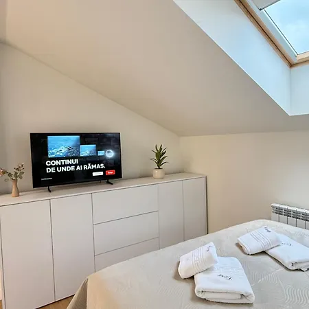 Cozy Luxury In Center Of Historical Apartment