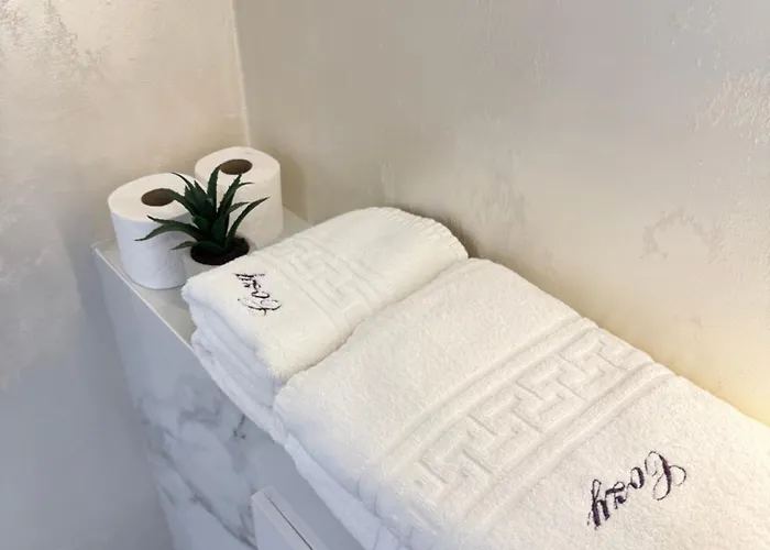 公寓 Luxury In Center Of Historical 布拉索夫