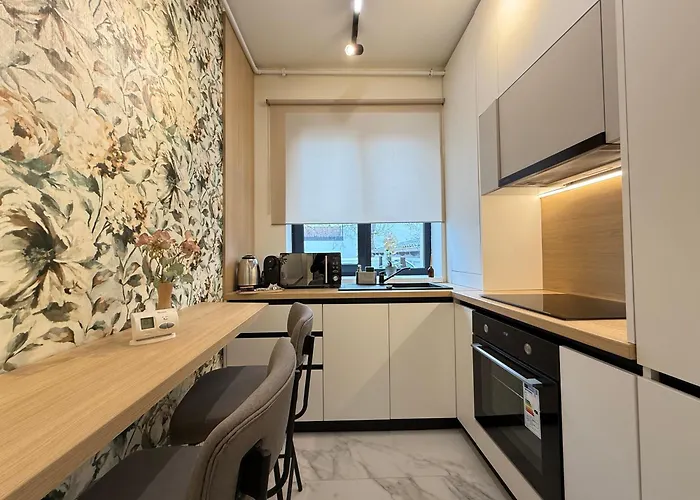 Luxury In Center Of Historical Lejlighed Braşov