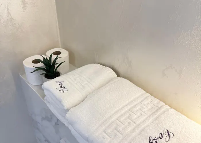 Luxury In Center Of Historical 公寓 布拉索夫