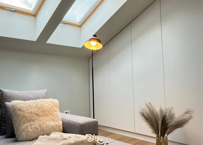 Luxury In Center Of Historical 公寓 布拉索夫