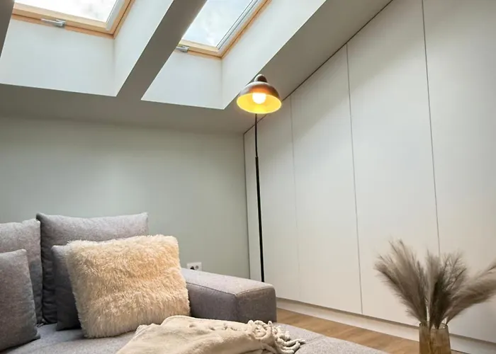 Luxury In Center Of Historical 公寓 布拉索夫