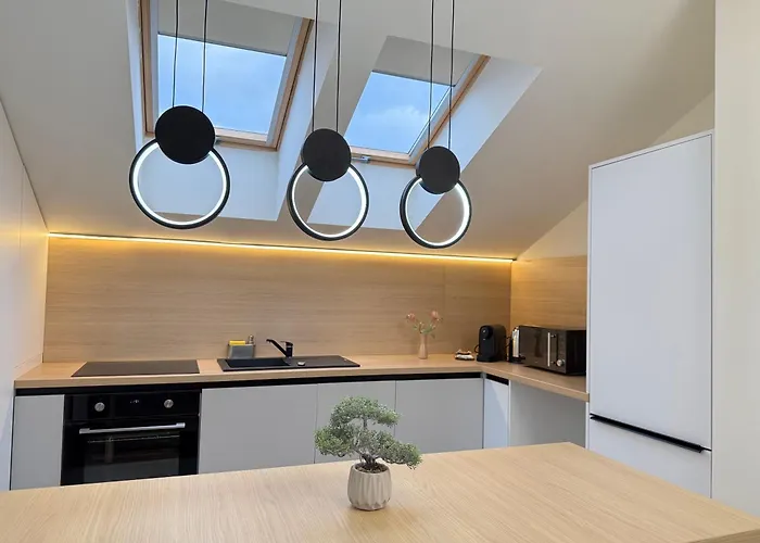 Luxury In Center Of Historical 公寓 布拉索夫